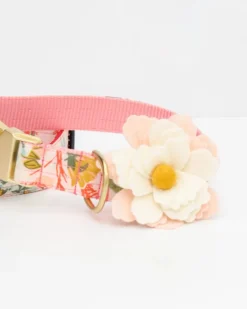 Water Lily Dog Collar Flower In Cream (Made in the USA)