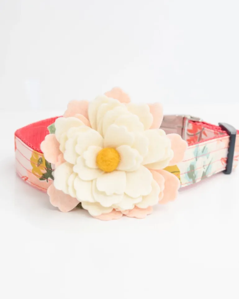 Water Lily Dog Collar Flower In Cream (Made in the USA)