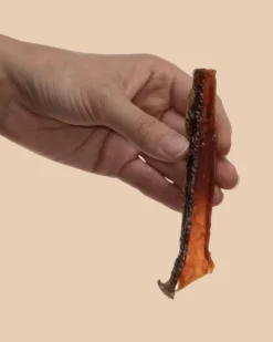 Wild Alaskan Salmon Frites Dog Treats (Made in the USA)