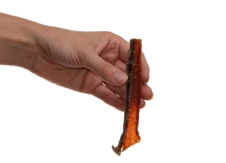 Wild Alaskan Salmon Frites Dog Treats (Made in the USA)
