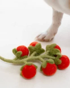 Wool Cherry Tomato Vine Dog Toy