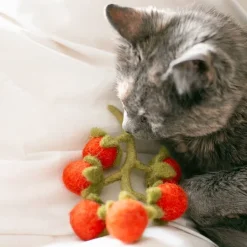 Wool Cherry Tomato Vine Dog Toy