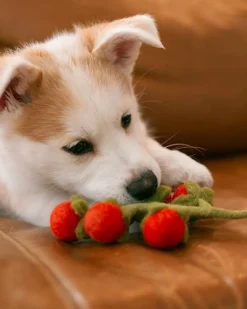 Wool Cherry Tomato Vine Dog Toy