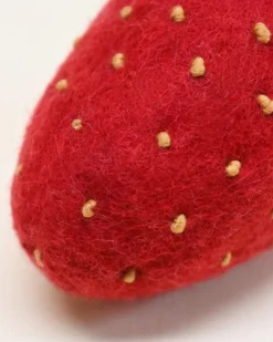 Wool Strawberry Dog Toy