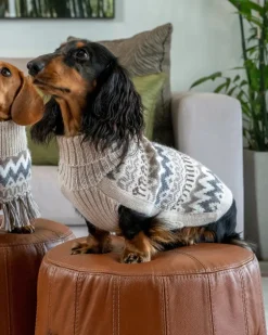 Wooly Winter Alpaca Dog Sweater