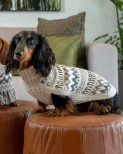 Wooly Winter Alpaca Dog Sweater