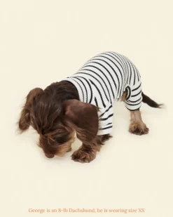 World's Your Oyster Dog Onesie