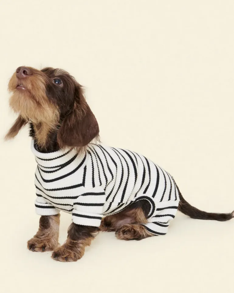 World's Your Oyster Dog Onesie