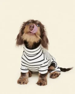 World's Your Oyster Dog Onesie