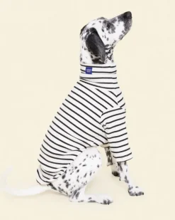 World's Your Oyster Dog Pullover Shirt