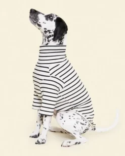 World's Your Oyster Dog Pullover Shirt