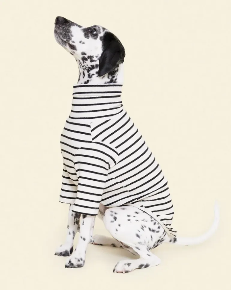World's Your Oyster Dog Pullover Shirt