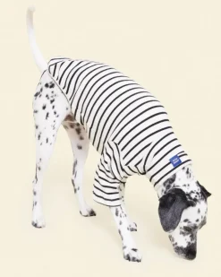 World's Your Oyster Dog Pullover Shirt