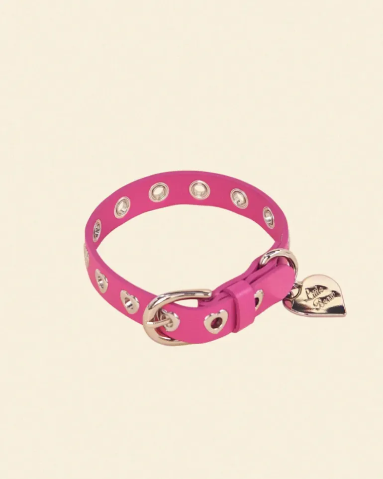 You Mean The World To Me Dog Collar in Peony