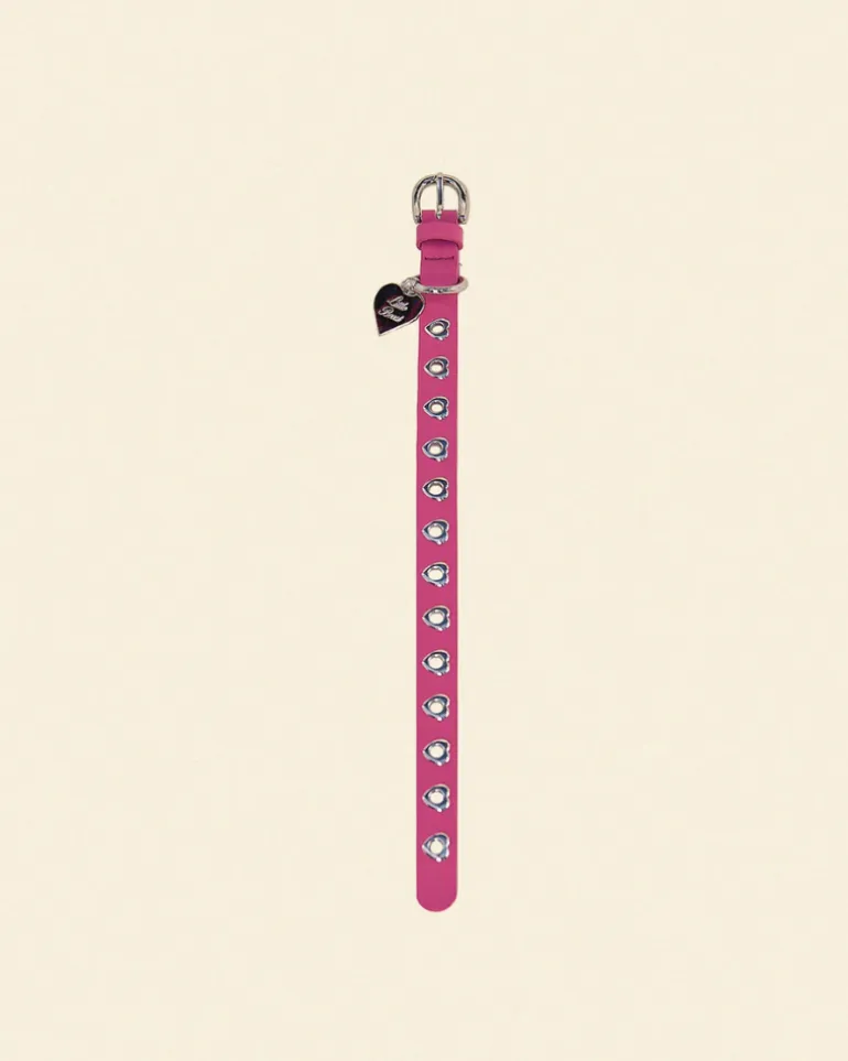 You Mean The World To Me Dog Collar in Peony