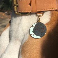 Zodiac ID Tag (Custom)